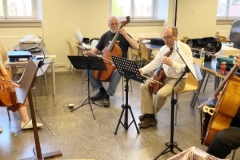 VdGF-gambadagar-ensemblespel_0430